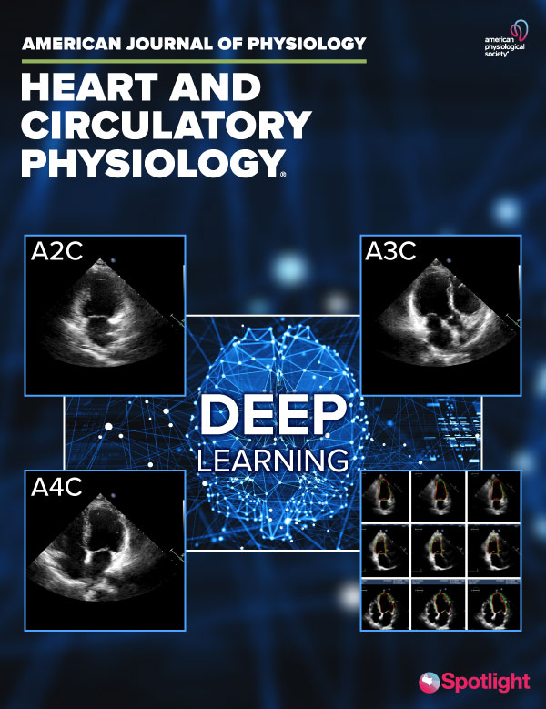 Deep Learning Based Automated Left Ventricular Ejection Fraction